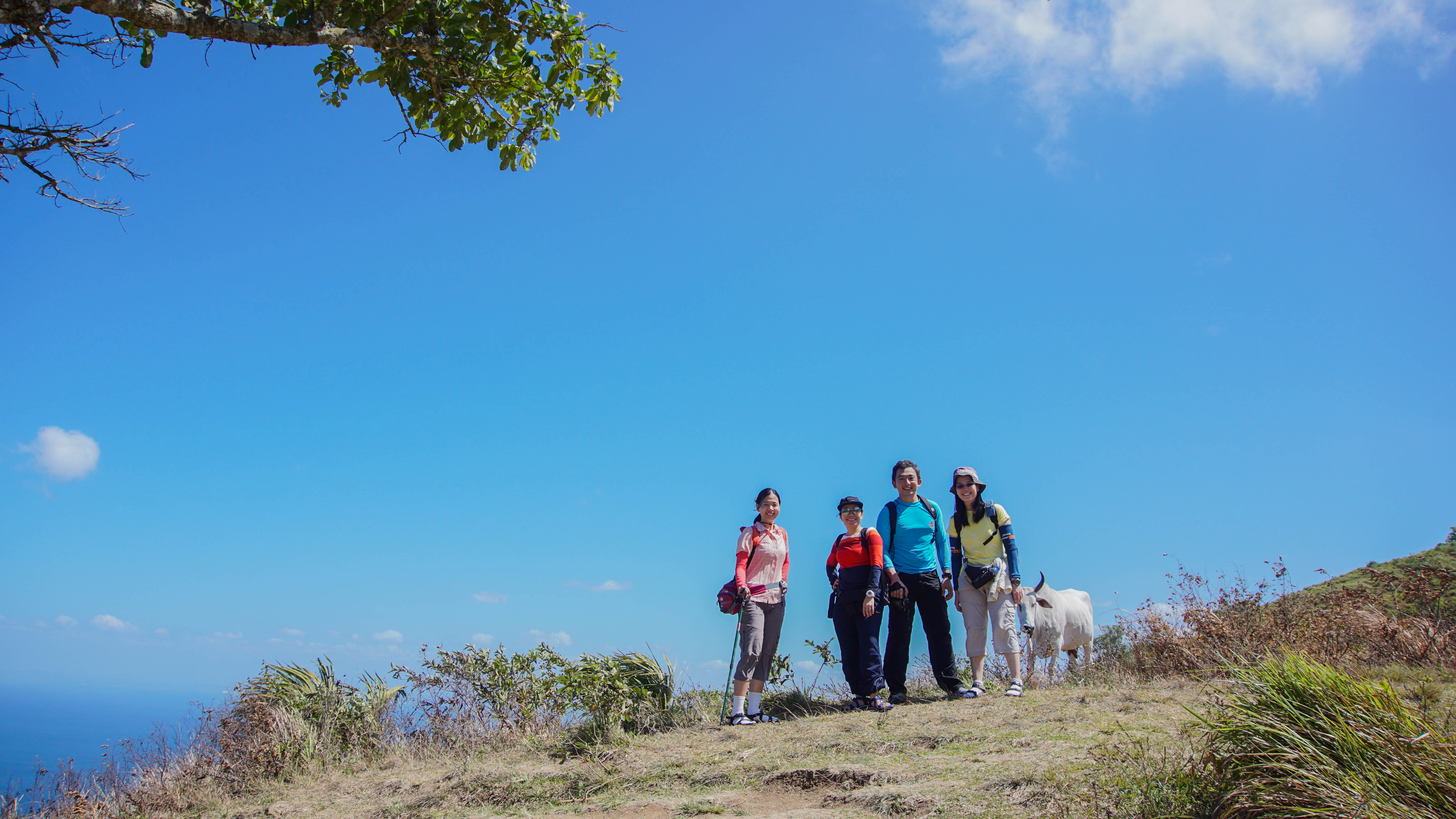 Mt. Gulugod Baboy - Mabini, Batangas