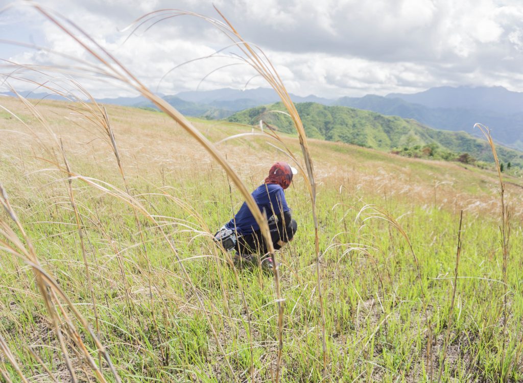 Mt. Batolusong - Tanay, Rizal