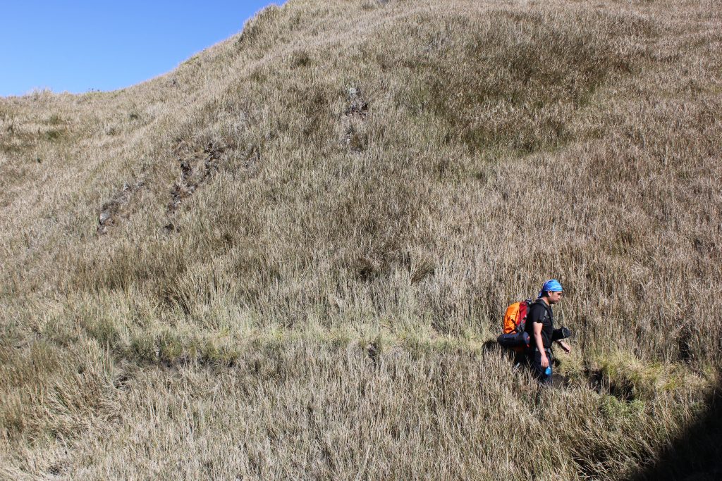 Mt. Pulag: I Climbed. I Survived. I Conquered.