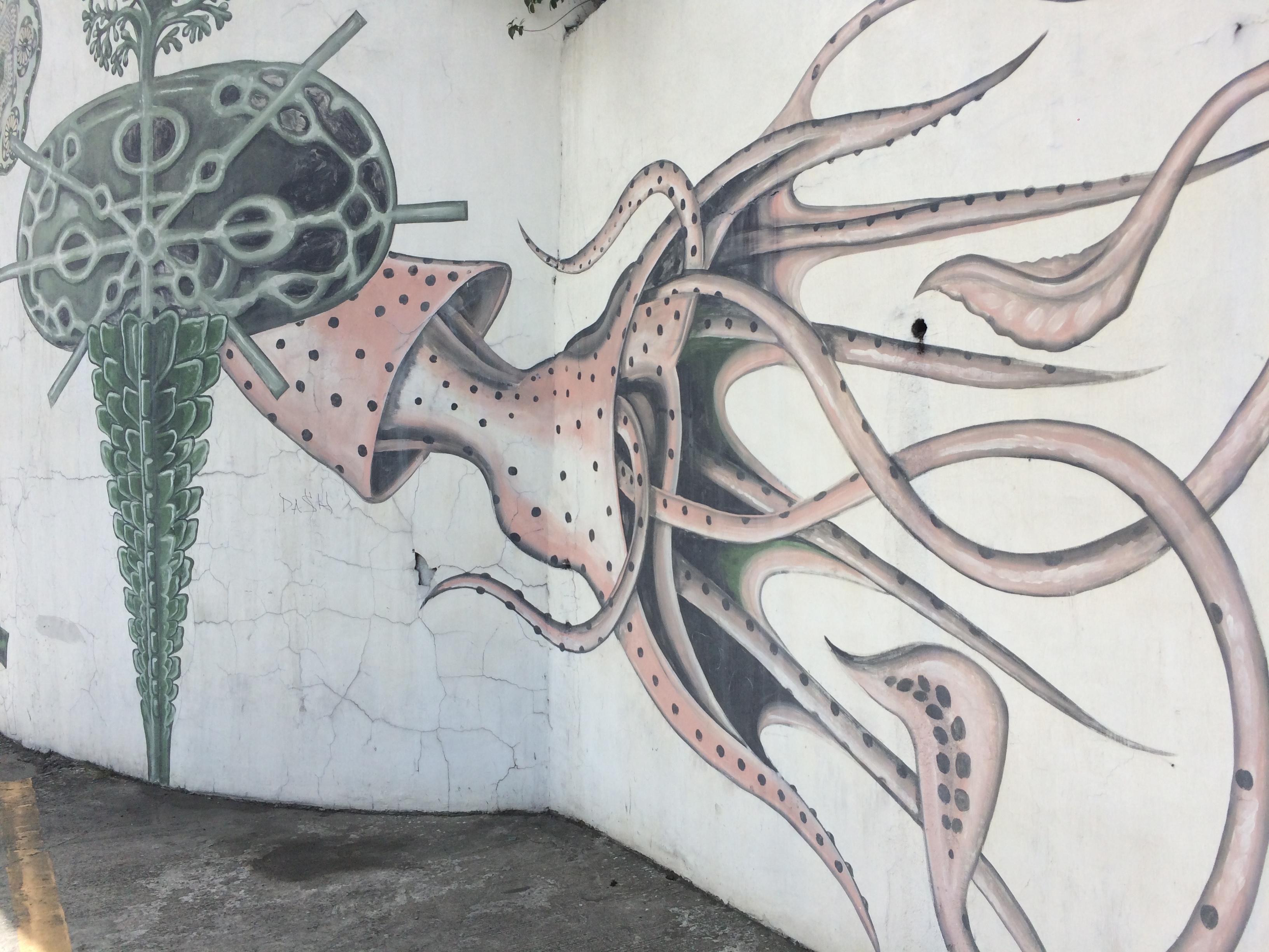 EDSA: A walk without a cause