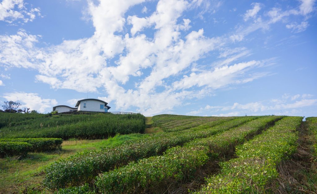 South Korea - Jeju Island and Seoul Experience