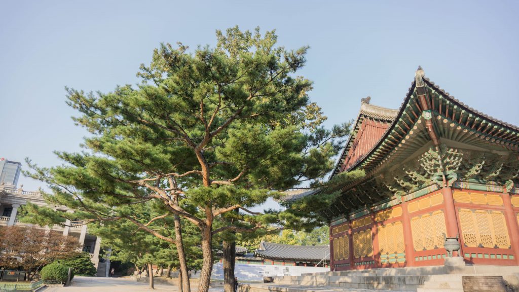 South Korea - Jeju Island and Seoul Experience