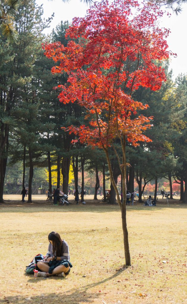 South Korea - Jeju Island and Seoul Experience