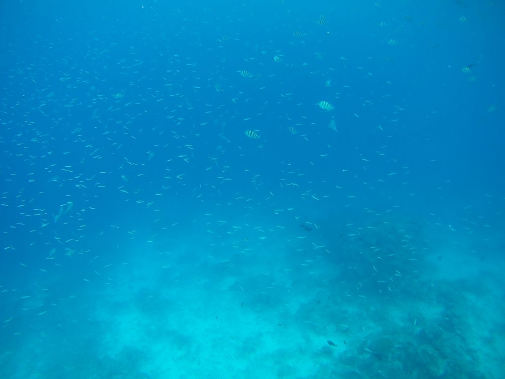 El Nido Day 2 - Tour C: Secrets and Wonders