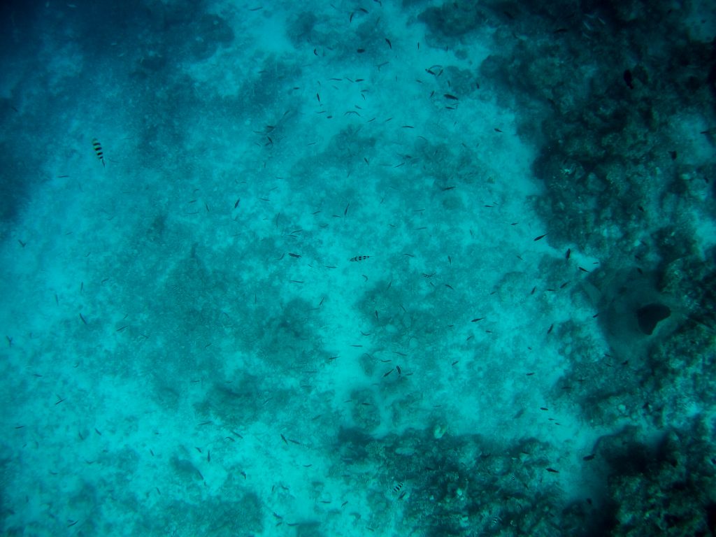 El Nido Day 2 - Tour C: Secrets and Wonders El Nido Day 2 - Tour C: Secrets and Wonders