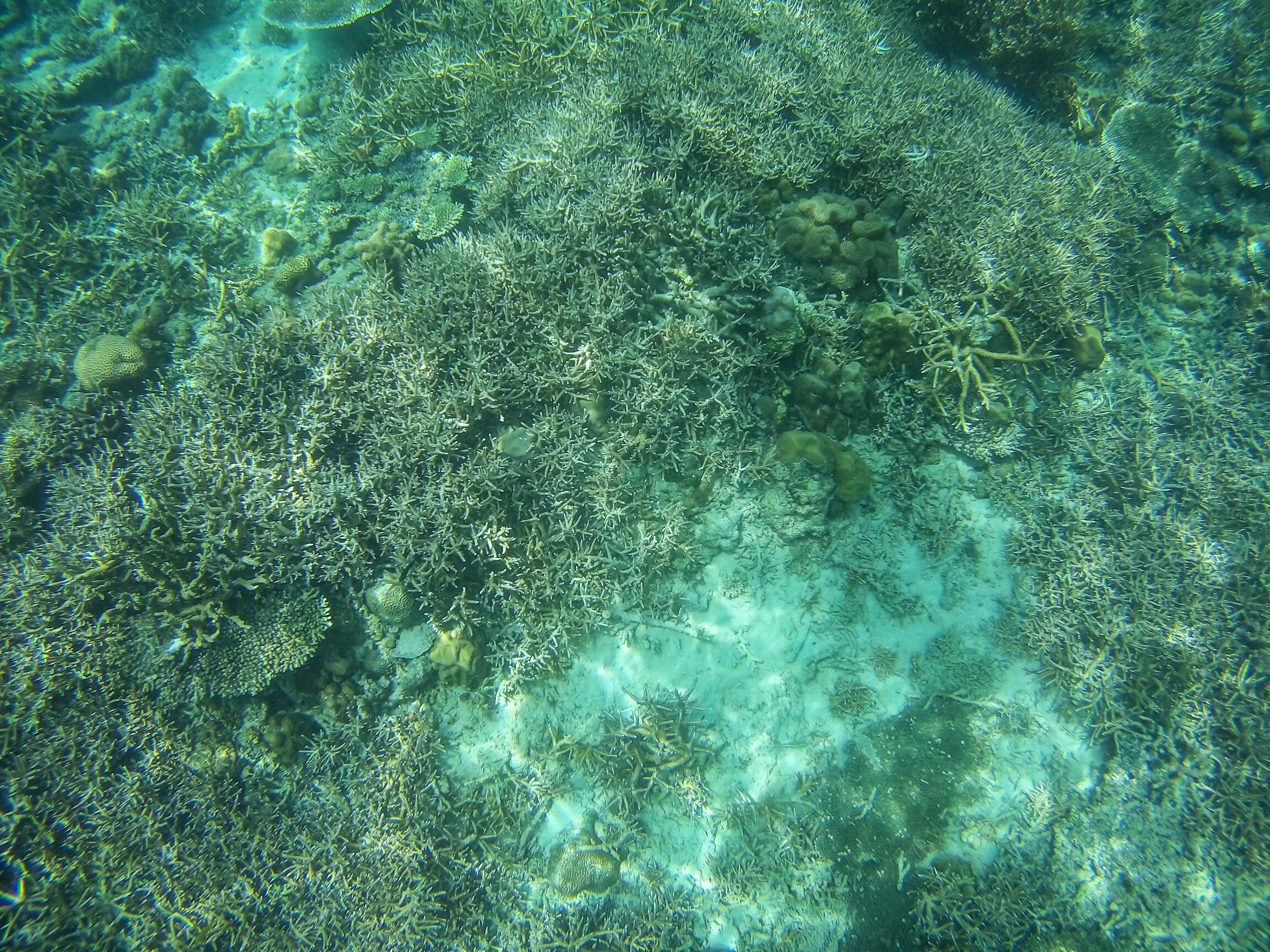 El Nido Day 2 - Tour C: Secrets and Wonders