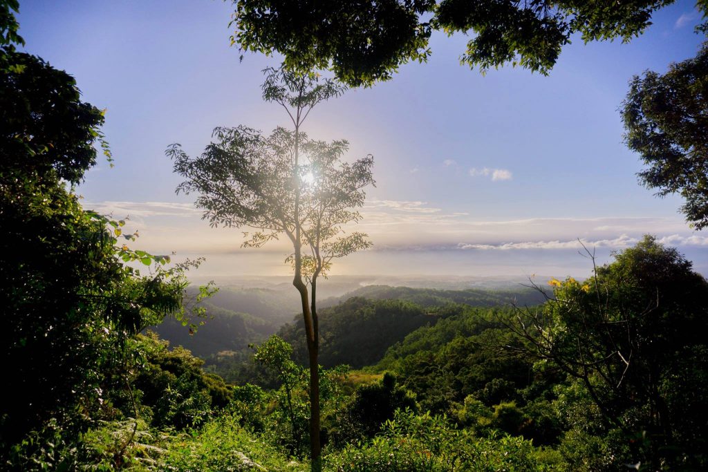 Tarak Ridge - Mariveles, Bataan (Climb Guide)