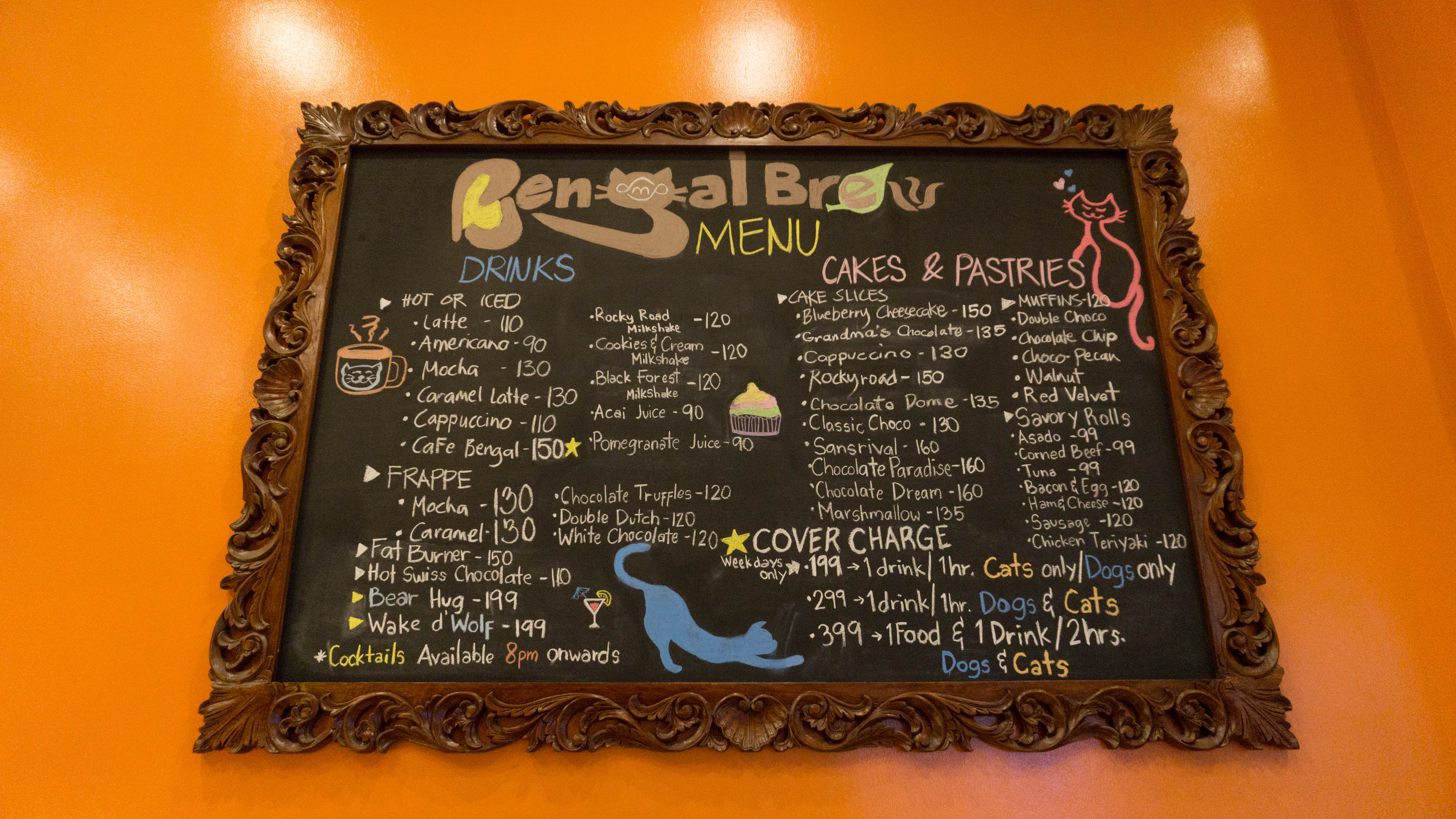 Bengal Brew and Wolf & Bear - Cat and Dog Cafe Bengal Brew and Wolf & Bear - Cat and Dog Cafe