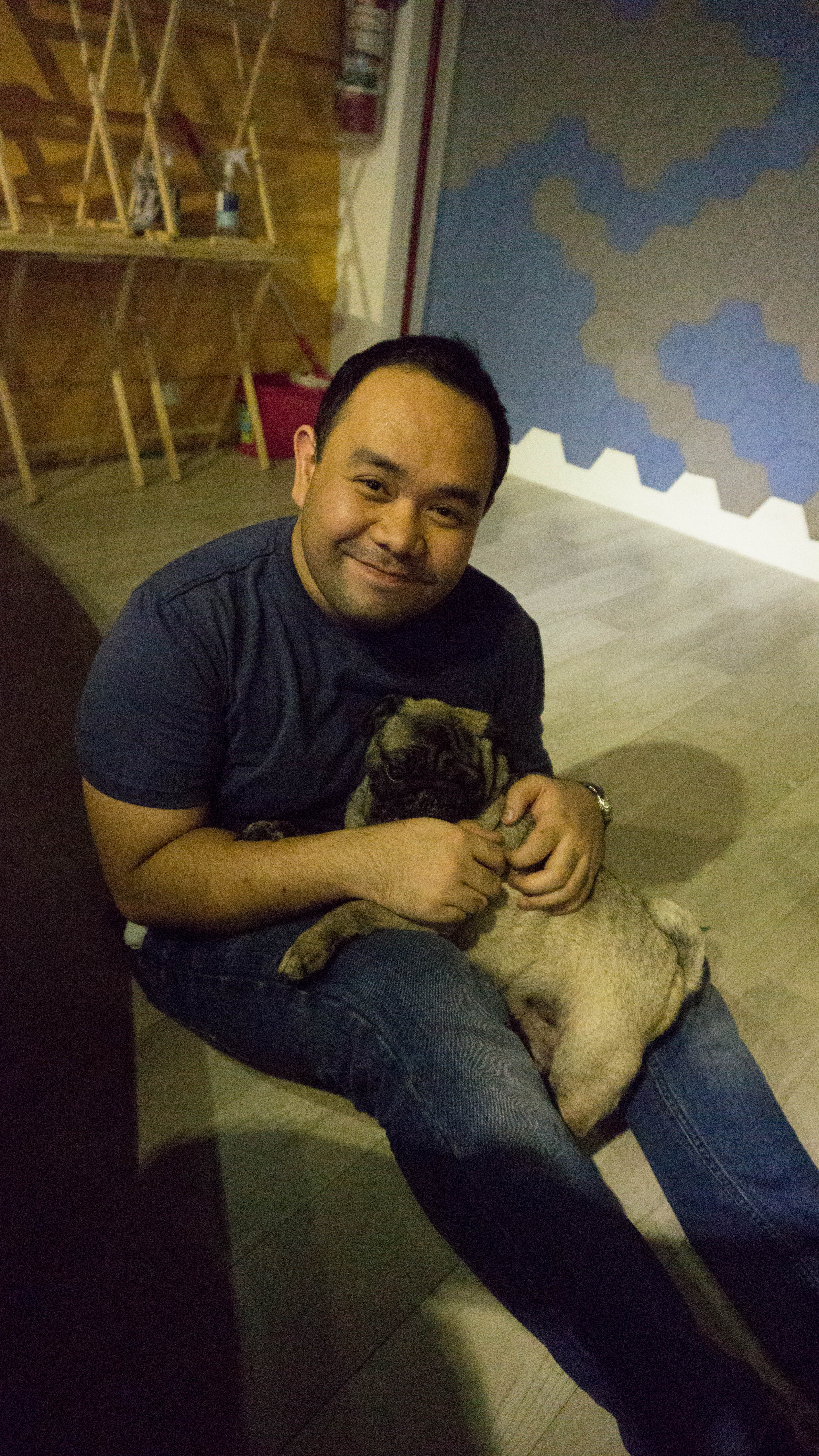 Bengal Brew and Wolf & Bear - Cat and Dog Cafe