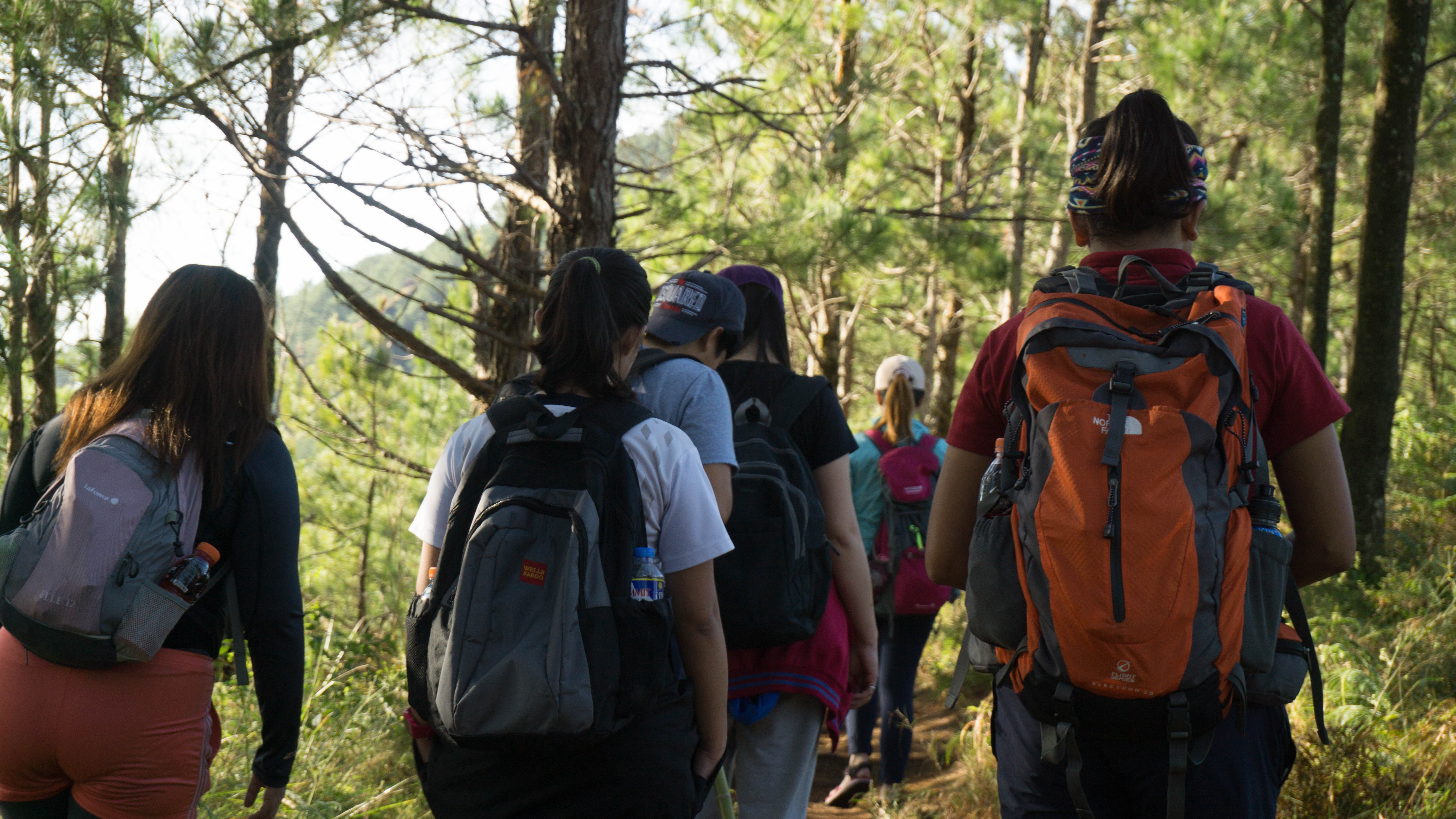 Mt. Ulap - Itogon, Benguet