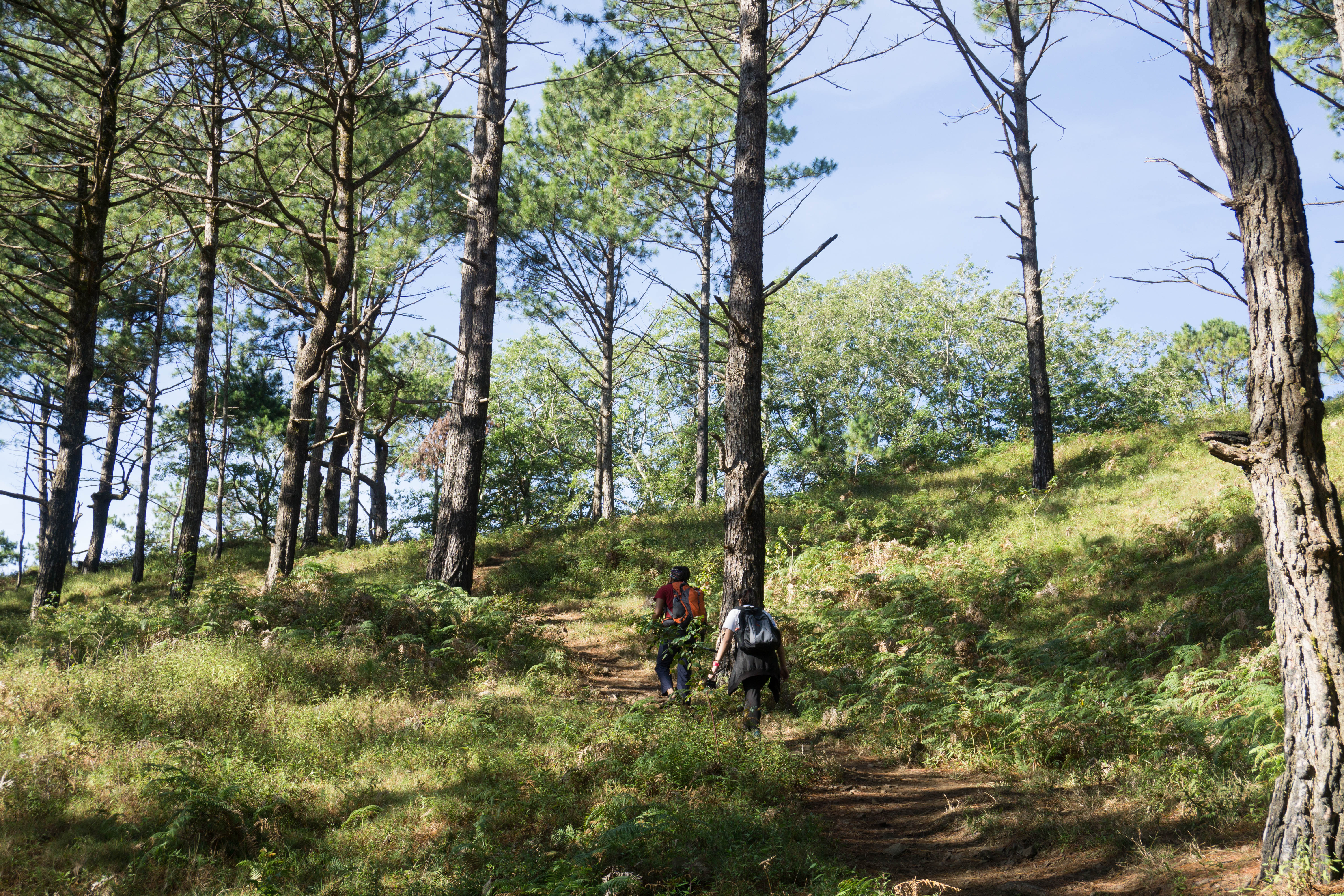 Mt. Ulap - Itogon, Benguet