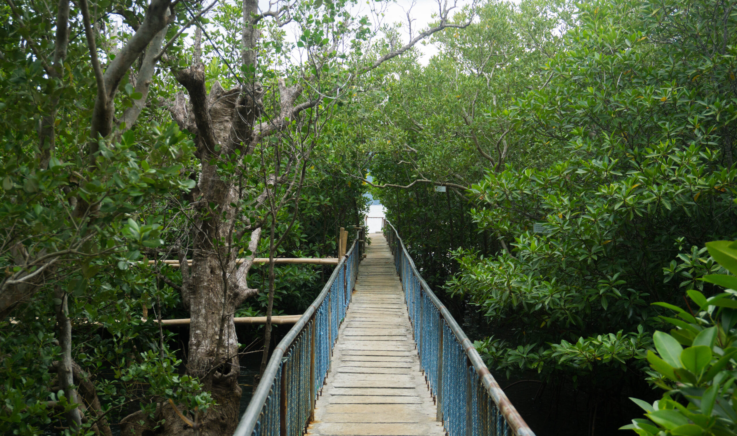 Cabucgayan Boardwalk - Biliran Province