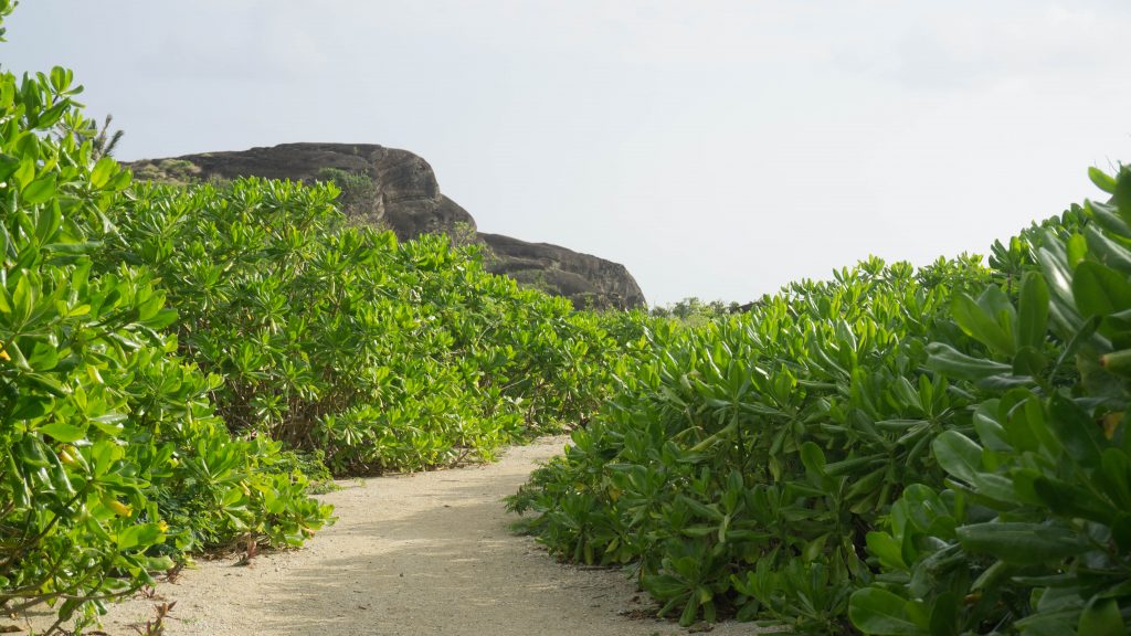 Biri Island Rock Formations - Biri Island - Northern Samar