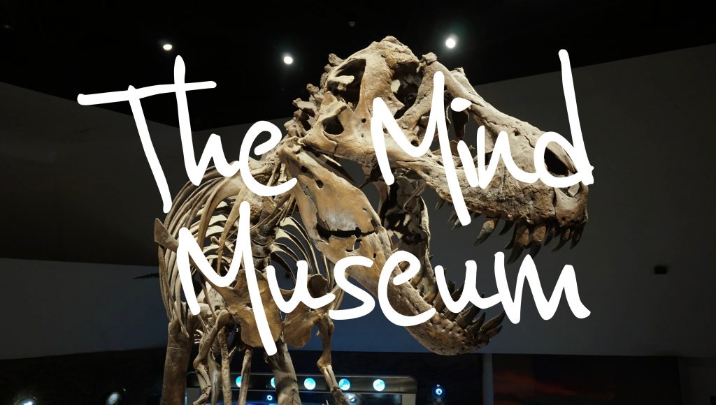 The Mind Museum - Fun Science (Museum Guide)