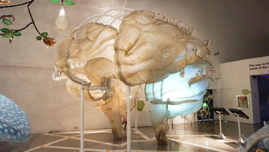 The Mind Museum - Fun Science (Museum Guide) The Mind Museum - Fun Science (Museum Guide)