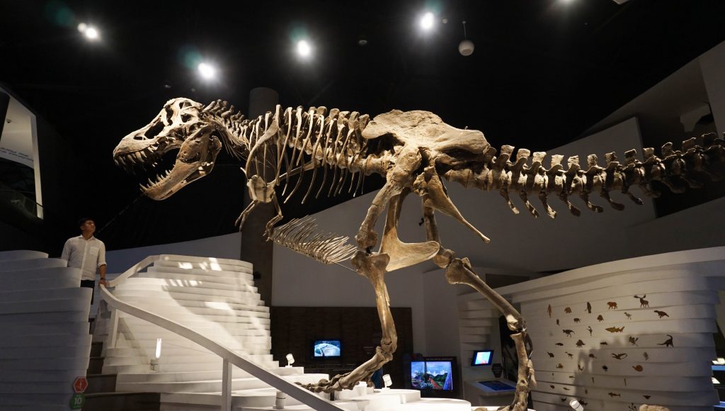 The Mind Museum - Fun Science (Museum Guide)