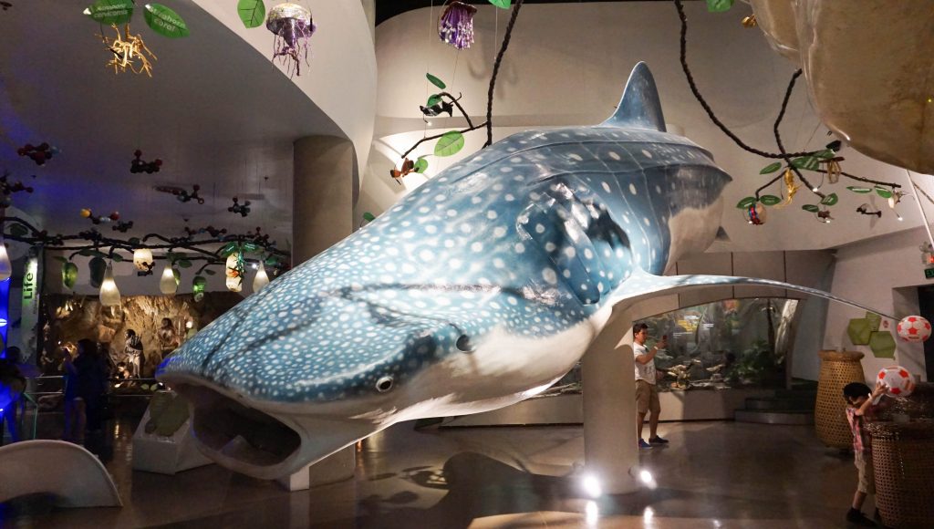 The Mind Museum - Fun Science (Museum Guide)