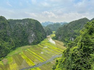 Vietnam Guides