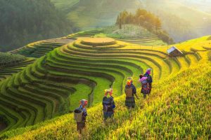 Vietnam Unveiled: Hidden Gems and Iconic Sights