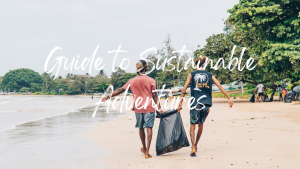Eco-Friendly Travel: A Guide to Sustainable Adventures