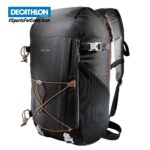 Quechua 30L Backpack