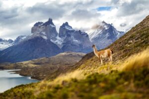 Chile Travel Guides and Itinerary. Photo by Marek Piwnicki.