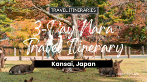 3-Day Nara, Japan Travel Itinerary