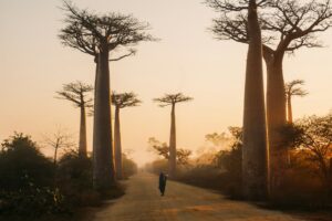 Madagascar Travel Itineraries and Guides. Photo by Yasmine Arfaoui.