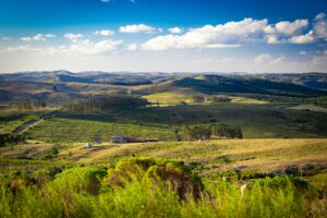 Uruguay Travel Itineraries and Guides